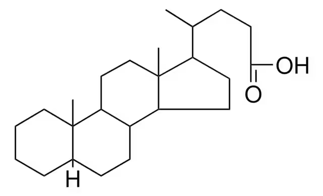 CHOLANIC ACID structure, CAS 25312-65-6