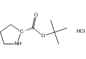 D-PROLINE TERT-BUTYL ESTER HYDROCHLORIDE structure, CAS 184719-80-0