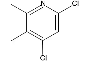 4,6-dichloro-2,3-dimethylpyridine structure, CAS 101252-84-0