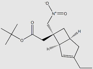tert-butyl 2-((1R,5S,6S)-3-ethyl-6-(nitromethyl)bicyclo[3.2.0]hept-3-en-6-yl)acetate structure, CAS 1138246-18-0