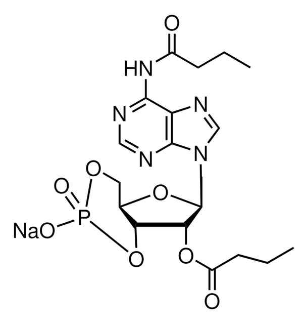 Bucladesine structure, CAS 362-74-3