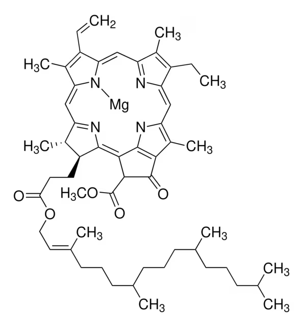 Chlorophyll a structure, CAS 479-61-8