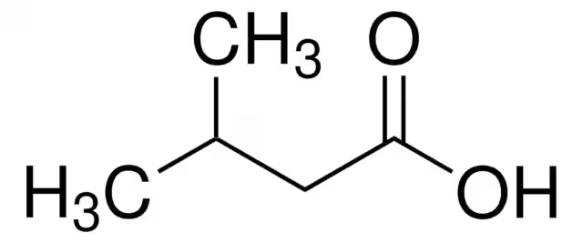 Isovaleric acid structure, CAS 503-74-2