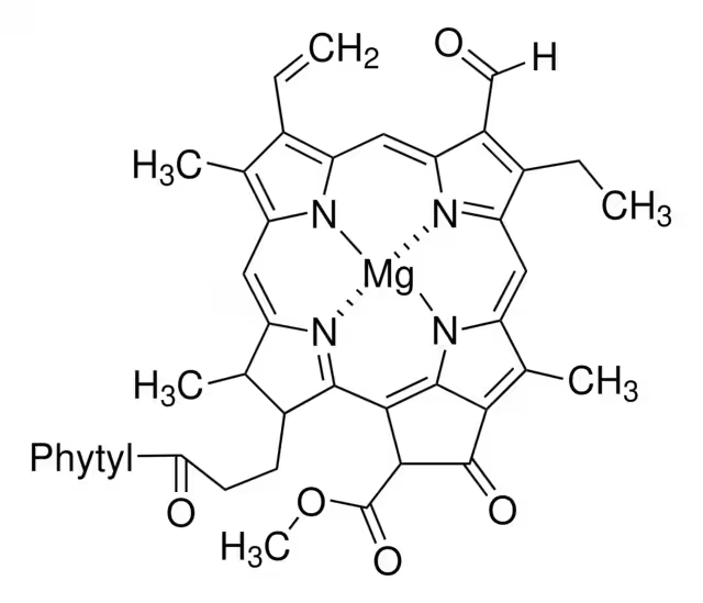 Chlorophyll B structure, CAS 519-62-0