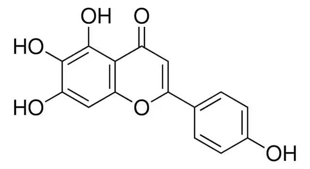 Scutellarein structure, CAS 529-53-3