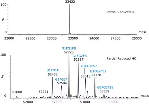 CETUXIMAB structure, CAS 205923-56-4