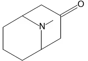 9-Methyl-9-azabicyclo[3.3.1]nonan-3-one structure, CAS 552-70-5