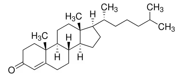 4-Cholesten-3-one structure, CAS 601-57-0