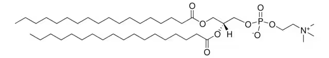 Distearoyl phosphatidylcholine structure, CAS 816-94-4