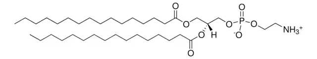 Dipalmitoyl phosphoethanolamine structure, CAS 923-61-5