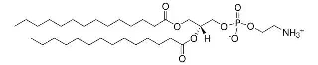 Dimyristoyl phosphoethanolamine structure, CAS 998-07-2