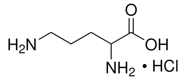 DL-Ornithine hydrochloride structure, CAS 1069-31-4