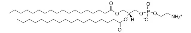 1,2-Distearoyl-sn-glycero-3-phosphoethanolamine structure, CAS 1069-79-0