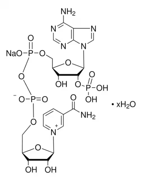 beta-Nicotinamide adenine dinucleotide phosphate sodium salt structure, CAS 1184-16-3