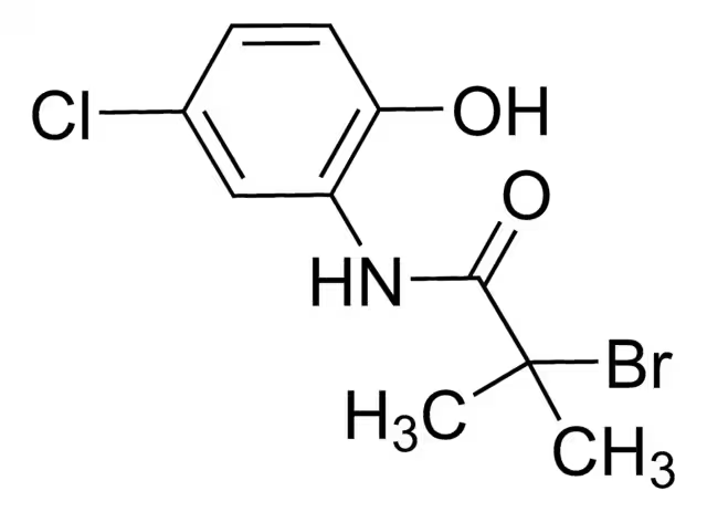 N-Methylpropionamide structure, CAS 1187-58-2