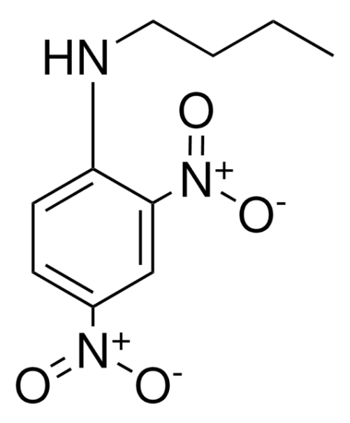 N-Methyl-2,4-dinitroaniline structure, CAS 2044-88-4
