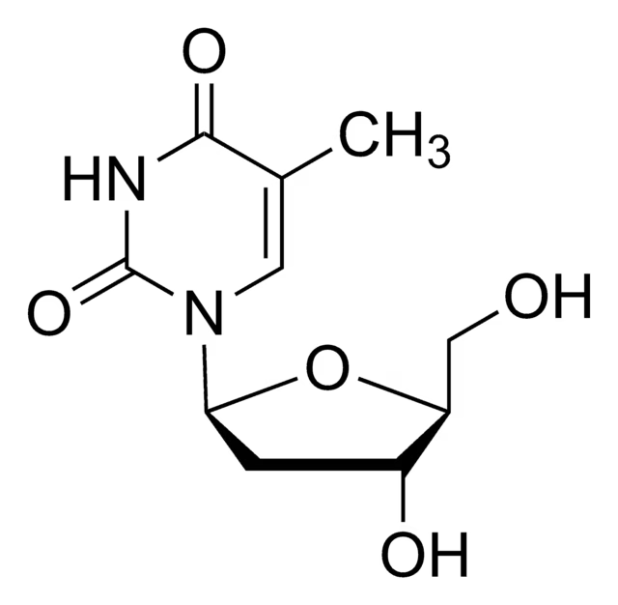 2'-Deoxy-L-thymidine structure, CAS 3424-98-4