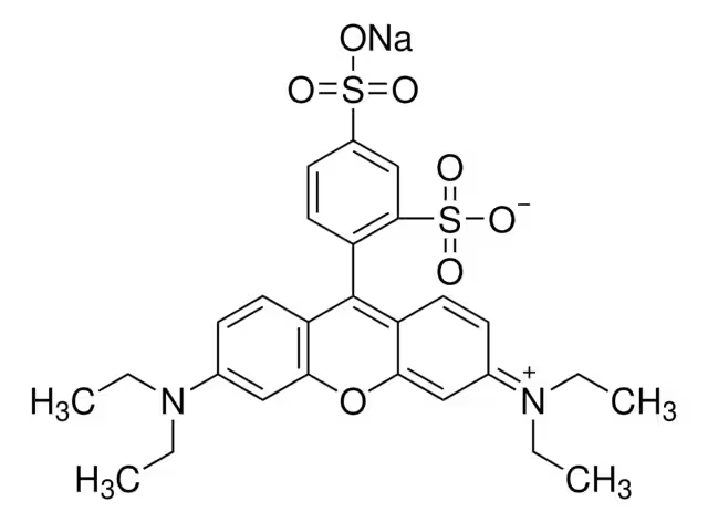 Sulforhodamine B structure, CAS 3520-42-1