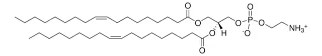 Dioleoyl phosphoethanolamine structure, CAS 4004-05-1