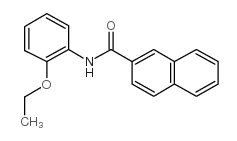 N-(2-Ethoxyphenyl)naphthalene-2-carboxamide structure, CAS 4711-67-5