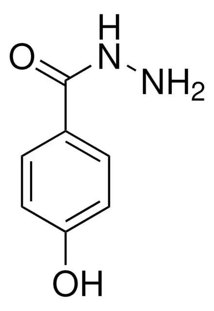 4-Hydroxybenzhydrazide structure, CAS 5351-23-5