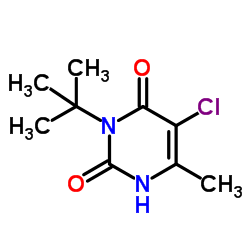 Terbacil structure, CAS 5902-51-2
