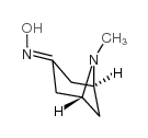(+/-)-Pseudopelletierine oxime structure, CAS 6164-67-6