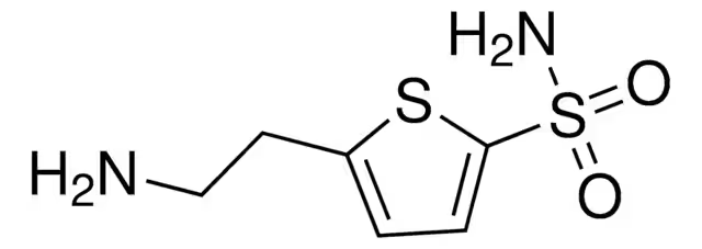 Thiophene-2-sulfonamide structure, CAS 6339-87-3