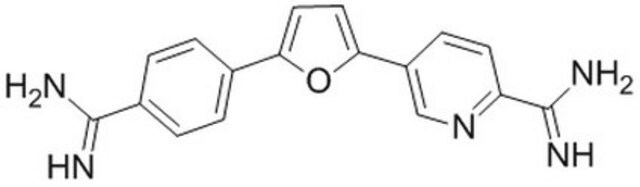 PYRIDINE-2-CARBOXAMIDINE structure, CAS 52313-50-5