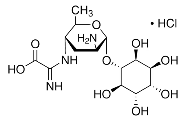 Kasugamycin structure, CAS 6980-18-3