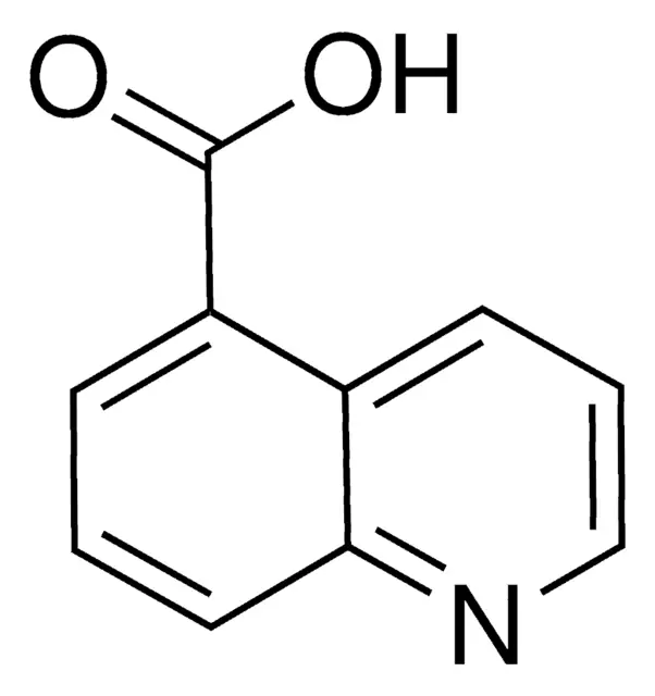 Quinoline-5-carboxylic acid structure, CAS 7250-53-5