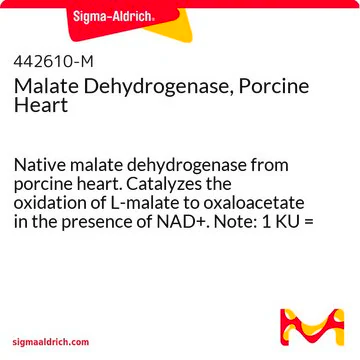 Malate dehydrogenase structure, CAS 9001-64-3