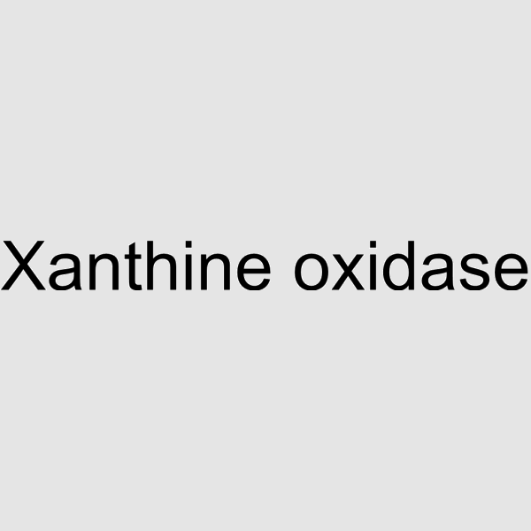 Xanthine oxidase structure, CAS 9002-17-9