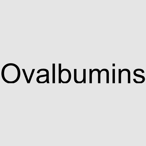 Ovalbumin structure, CAS 9006-59-1