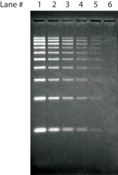 Nucleic acids structure, CAS 9008-72-4
