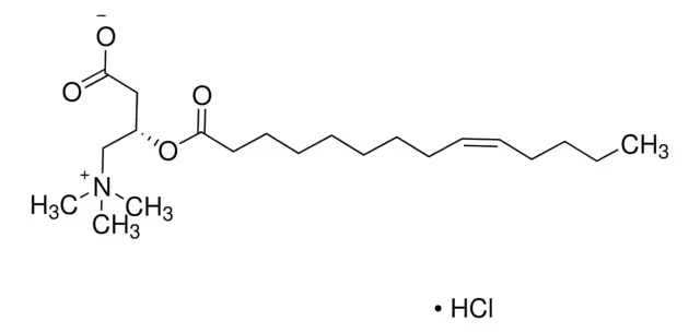 L-Carnitine hydrochloride structure, CAS 10017-44-4