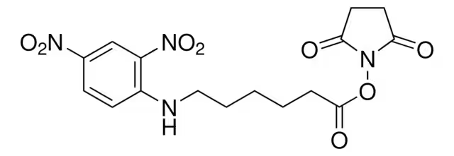 N-(2,4-Dinitrophenyl)-6-aminohexanoic acid structure, CAS 10466-72-5