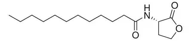 N-Dodecanoyl-L-phenlyalanine structure, CAS 14379-64-7