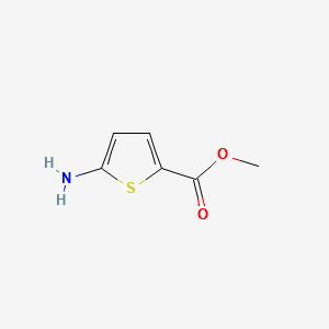 5-Aminothiophene-2-carboxylic acid methyl ester structure, CAS 14597-58-1