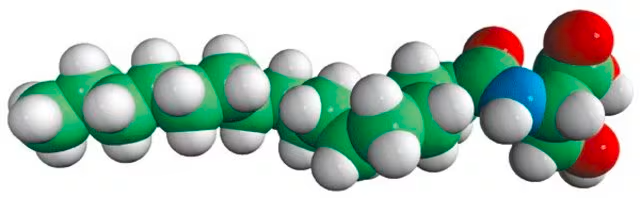 N-Palmitoyl-L-serine structure, CAS 16417-38-2