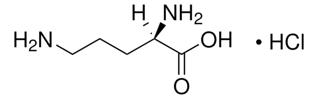 D-Ornithine monohydrochloride structure, CAS 16682-12-5