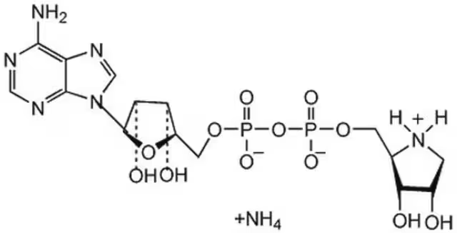 Ammonium 4-nitrobenzoate dihydrate structure, CAS 19416-70-7