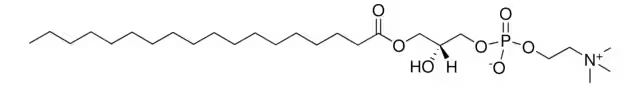 Stearoyl Lyso-phosphocholine structure, CAS 19420-57-6