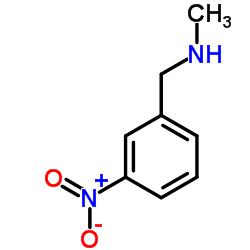 (3-Nitrobenzyl)methylamine structure, CAS 19499-61-7