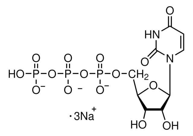 Uridine-5'-triphosphoric acid trisodium salt structure, CAS 19817-92-6