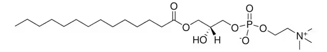 1-Myristoyl-sn-glycero-3-phosphocholine structure, CAS 20559-16-4