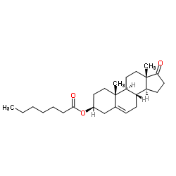 Dehydroepiandrosterone enanthate structure, CAS 23983-43-9