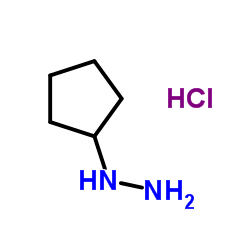 Cyclopentylhydrazine hydrochloride structure, CAS 24214-72-0