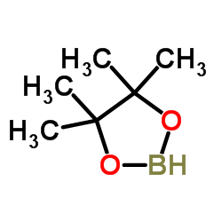 Pinacolborane structure, CAS 25015-63-8