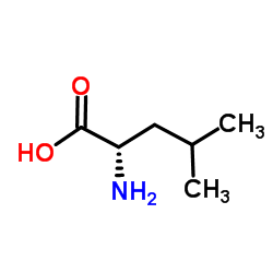 Poly-L-leucine structure, CAS 25322-63-8